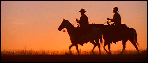 cowboys