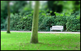 Park by Tom Heller park