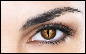 reptoeyes
