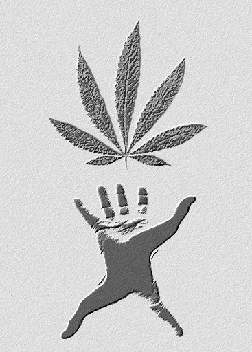  Free Hemp